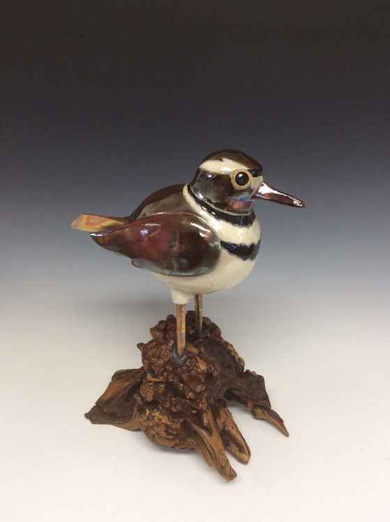 Killdeer Raku