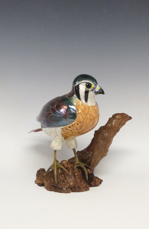 American Kestrel Raku