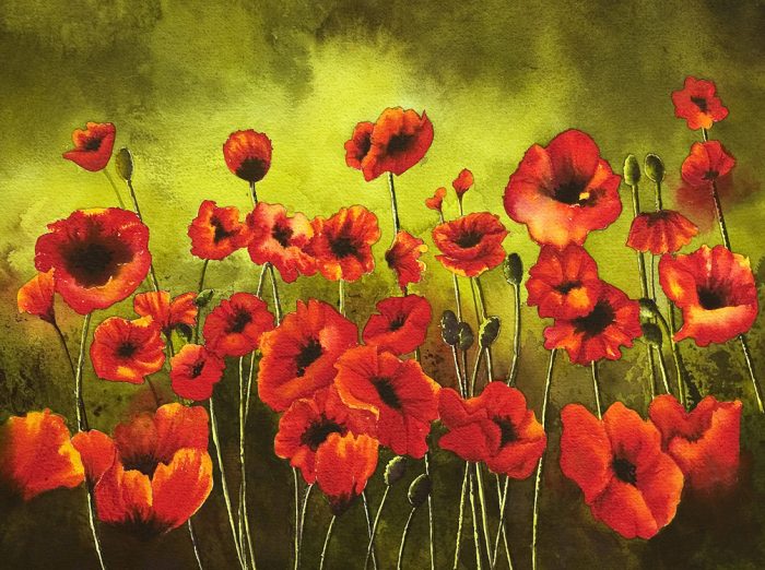 Poppies 2